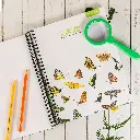 Botany-Regular-Notebooking-Journal-Lesson-4-1.webp