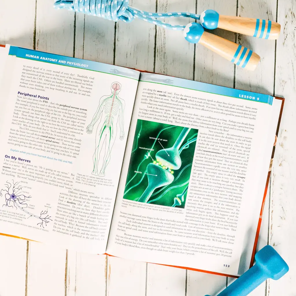 Anatomy-Physiology-Textbook-Lesson-9.webp