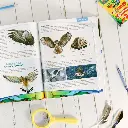 Zoology-1-Flying-Creatures-2nd-Edition-Textbook-Lesson-10.webp
